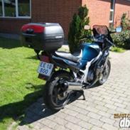 Suzuki gs500e