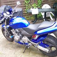 Honda CB 600 F Hornet