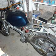 Honda CBR 600 Proj StreetFigher