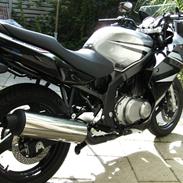 Suzuki GS 500 F(k7)