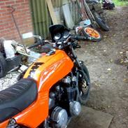 Honda boldor