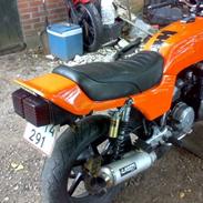 Honda boldor
