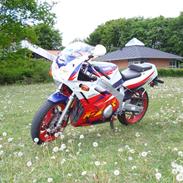 Yamaha FZR 600