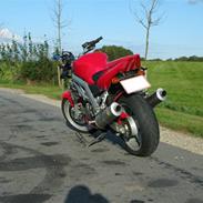 Suzuki SV 1000 N