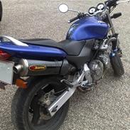 Honda Hornet