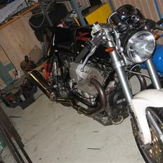 Moto Guzzi 1100 sport