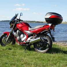 Yamaha XJ600N
