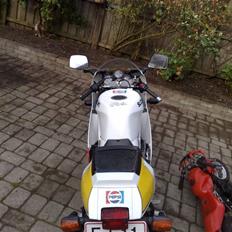 Suzuki RGV **SOLGT**