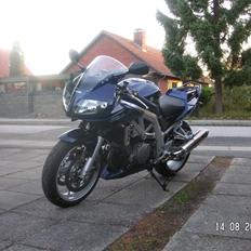 Suzuki SV 1000 S