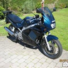 Suzuki gs500e