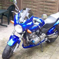 Honda CB 600 F Hornet
