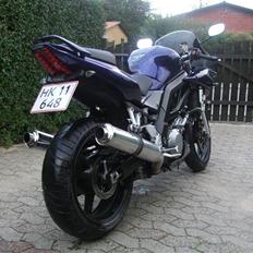 Suzuki SV 1000S