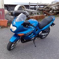 Suzuki GSX 600 F