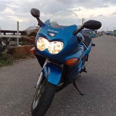 Suzuki GSX 600 F