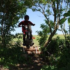 Beta Rev 3 270 trial