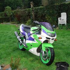 Kawasaki zx9r