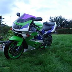 Kawasaki zx9r