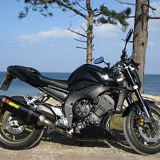 Yamaha FZ1-N