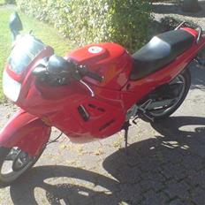 Honda CBR 600 Proj StreetFigher