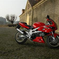 Suzuki Tl 1000 S # DØD #