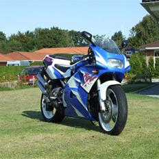 Suzuki RGV 250 Gamma