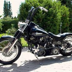 Harley Davidson hard ass