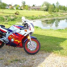 Yamaha FZR 600