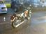 BMW R50/2