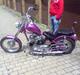 Triumph t100 PAINKILLER