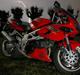 Suzuki Tl 1000 S # DØD #