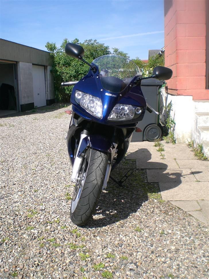 Suzuki sv 1000 billede 2