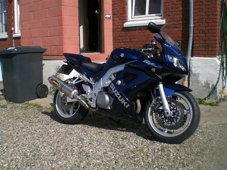 Suzuki sv 1000 billede 3