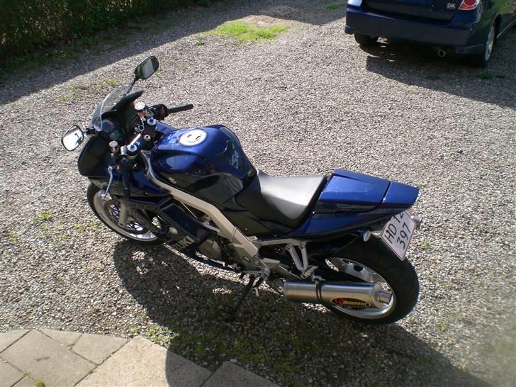 Suzuki sv 1000 billede 6