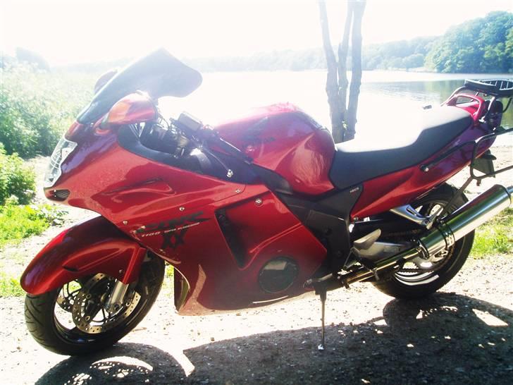 Honda CBR 1100 XX  - Sommer, sol, og en trilletur på birden. Uha det er godt da. billede 12