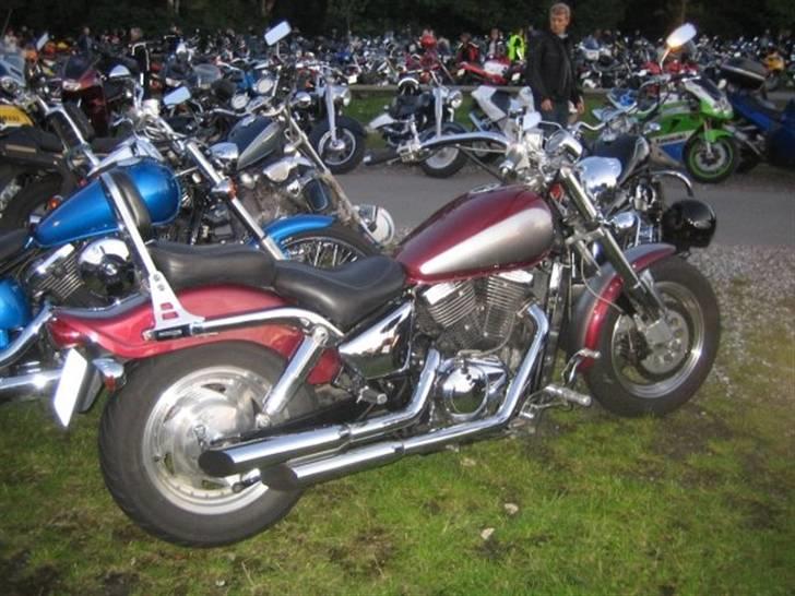 Suzuki VZ800 Marauder billede 5