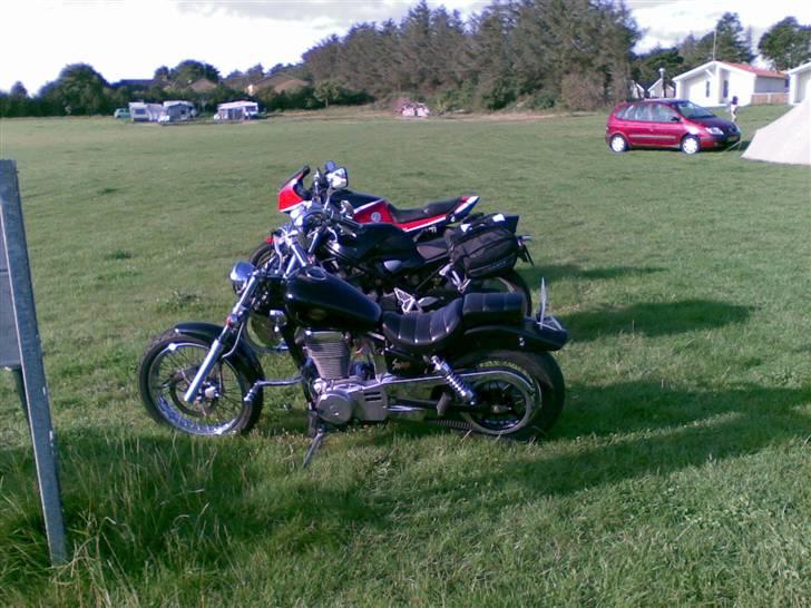 Suzuki LS 650 Savage billede 8