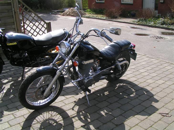 Suzuki LS 650 Savage billede 2