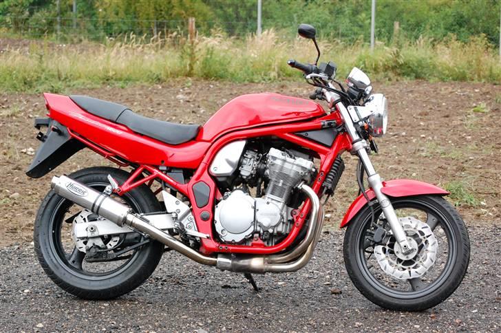 Suzuki GSF 600 Bandit (projekt) - lige da jeg havde fået den billede 1