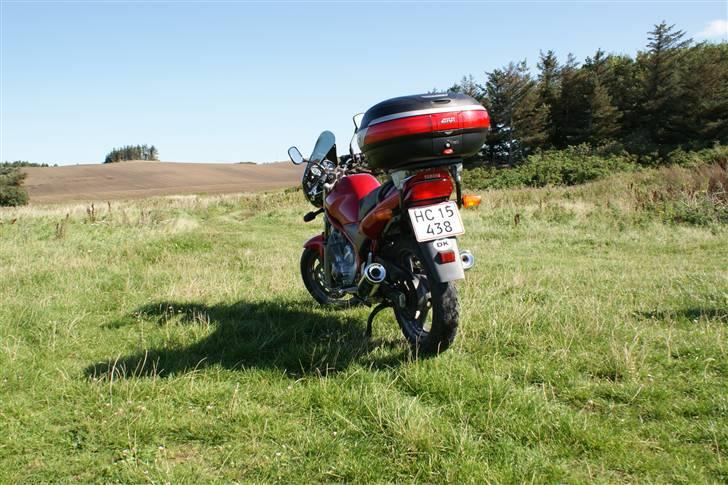 Yamaha XJ600N billede 6