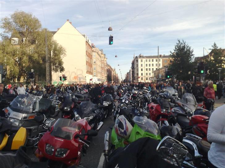 Kawasaki *SOLGT* - bakkelukning 31/8  billede 10