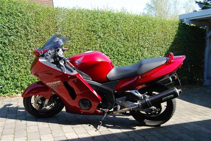 Honda cbr 1100 xx billede 3