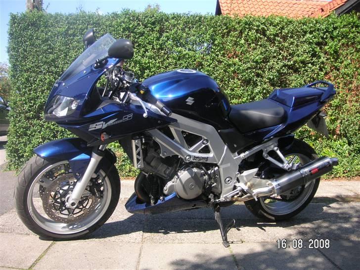 Suzuki SV 1000 S billede 1