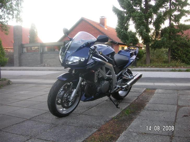 Suzuki SV 1000 S billede 3