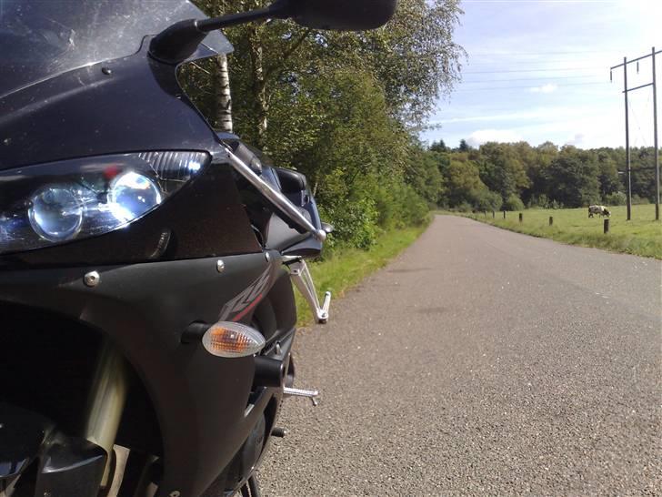 Yamaha Yzf R6 billede 7