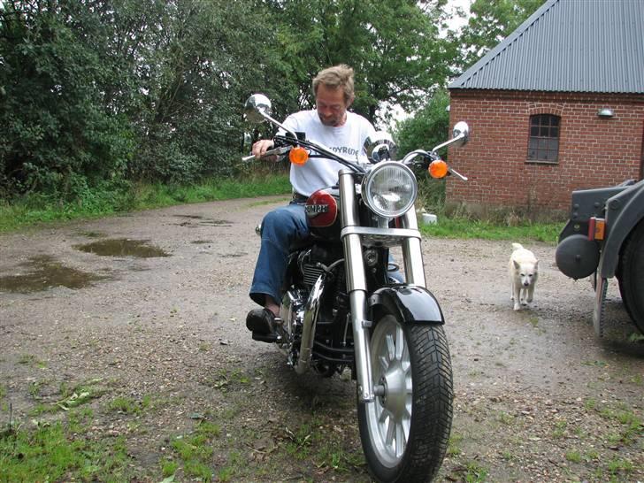 Triumph America solgt billede 2