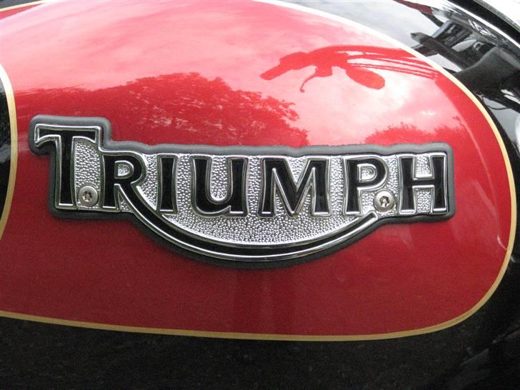 Triumph America solgt billede 6