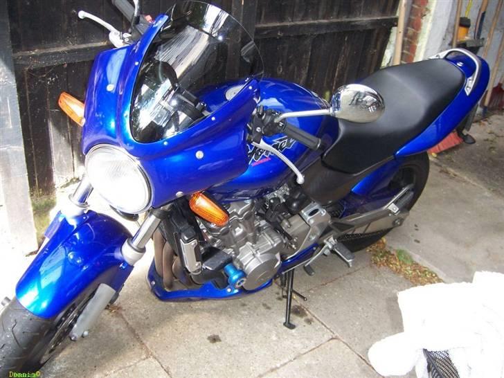 Honda CB 600 F Hornet billede 2