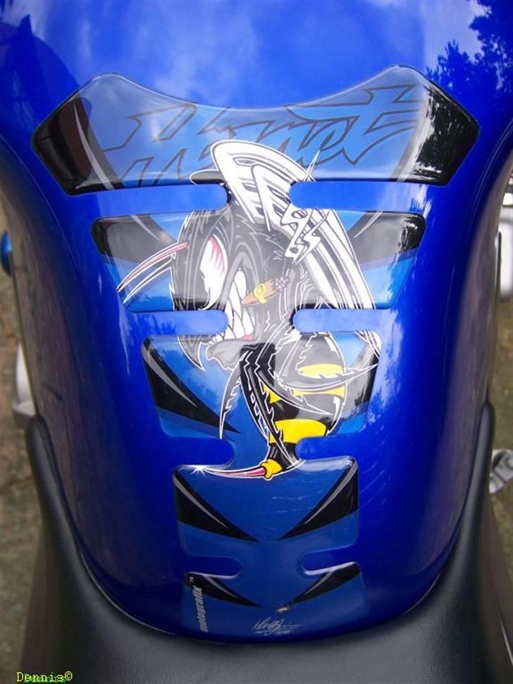 Honda CB 600 F Hornet billede 7