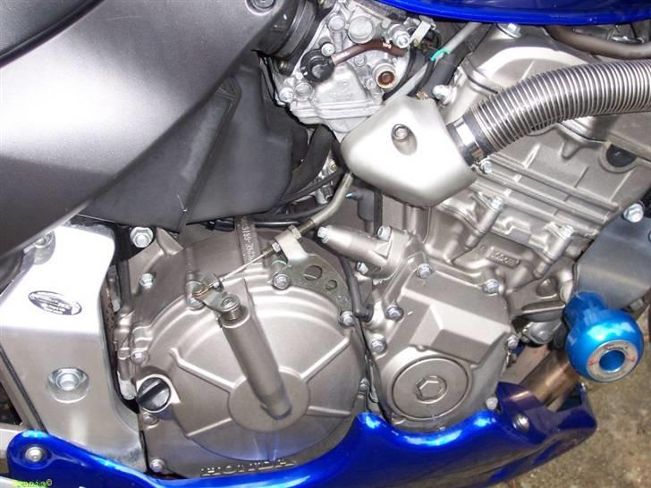 Honda CB 600 F Hornet billede 10