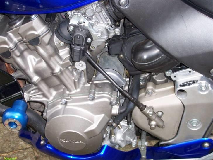 Honda CB 600 F Hornet billede 11